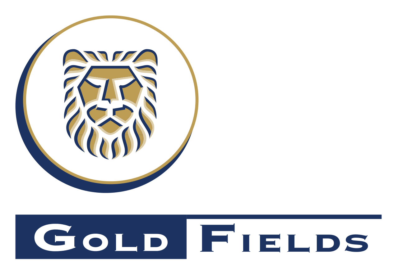 Image result for Gold Fields Learnerships